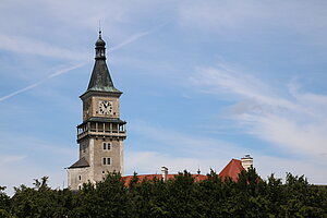 Wallsee, weithin sichtbarer Turm des Schlosses Nieder-Wallsee