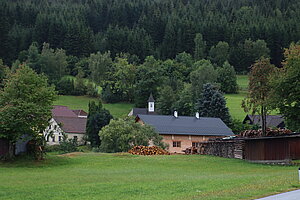 Reichenau im Freiwald