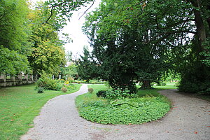 Mühlbach am Manhartsberg, Schlosspark - englischer Landschaftsgarten des 18. Jahrhundert