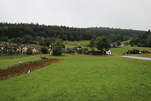 Reichenau im Freiwald