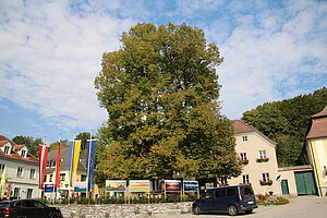 Persenbeug, Rathausplatz